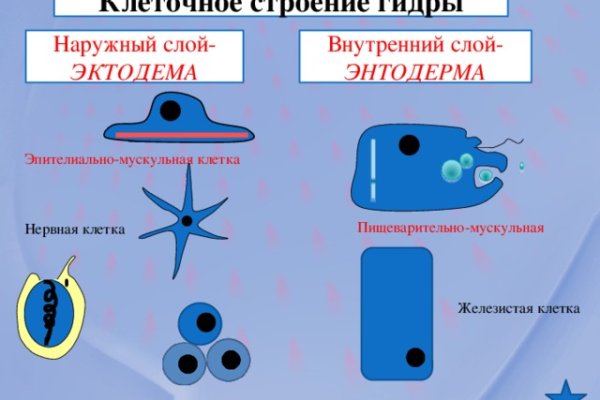 Рабочее зеркало на кракен
