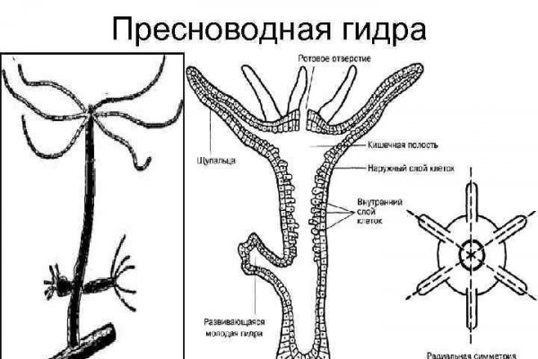 Как найти актуальную ссылку на кракен