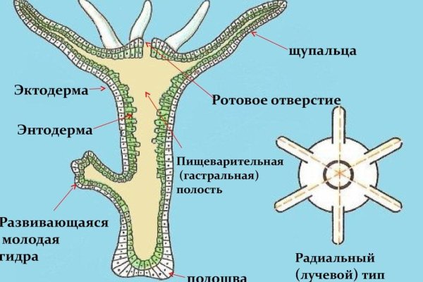 Кракен ссылка москва