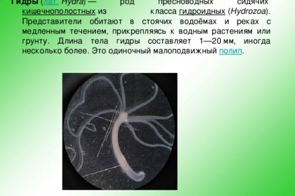 Kraken ссылка kraken torion